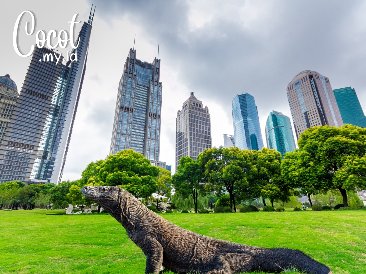 Komodo si jago adaptasi dari masa purba